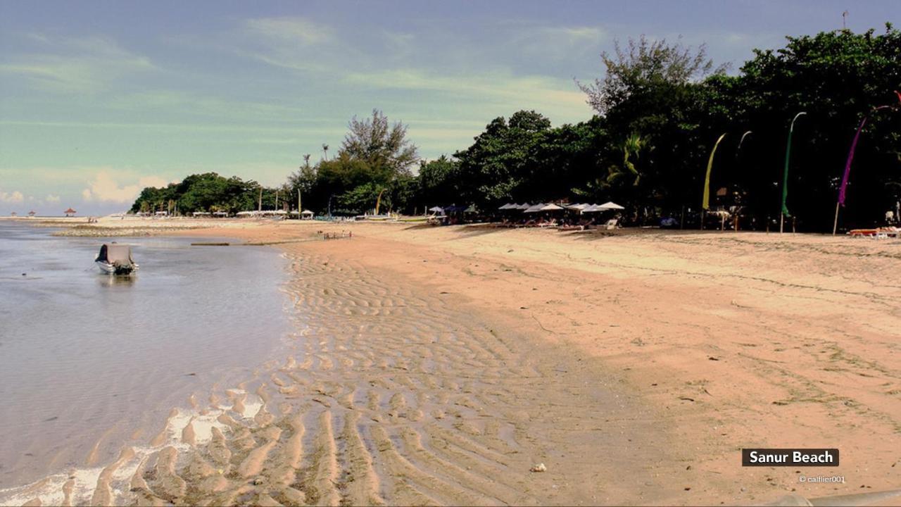 Zen Villa Sanur Art المظهر الخارجي الصورة
